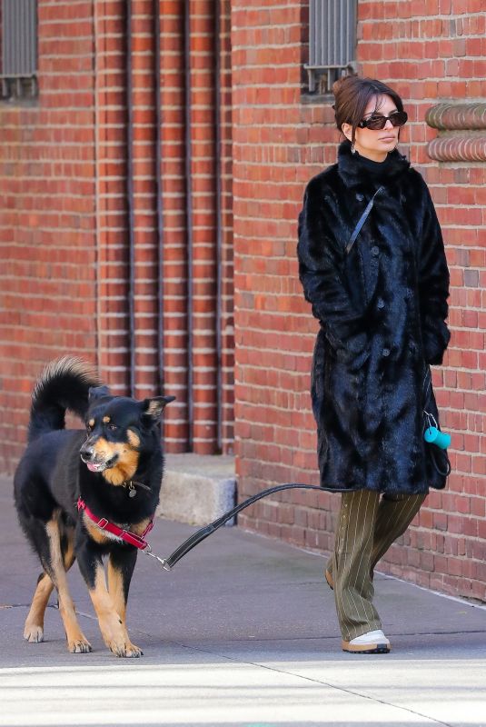 EMILY RATAJKOWSKI Out with Her Dog in New York 12/01/2022