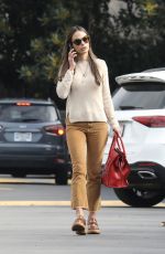 JORDANA BREWSTER Arrives at Brentwood Country Mart 12/27/2022