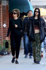 LISA RINNA and AMELIA HAMLIN Out in Los Angeles 12/22/2022