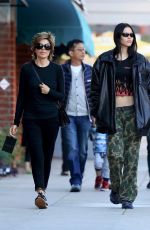 LISA RINNA and AMELIA HAMLIN Out in Los Angeles 12/22/2022