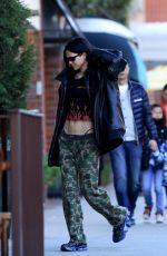 LISA RINNA and AMELIA HAMLIN Out in Los Angeles 12/22/2022