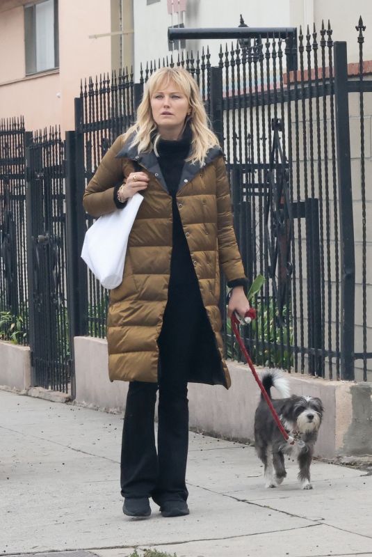 MALIN AKERMAN Out with Her Dog in Los Angeles 12/02/2022