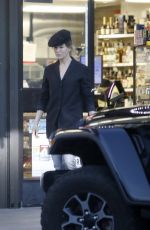 RENEE ZELLWEGER Shopping at Seven Eleven in Westwood 12/05/2022