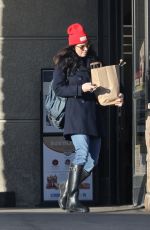 SARAH SILVERMAN Out Shopping in Los Feliz 12/11/2022