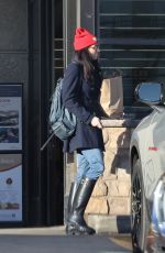 SARAH SILVERMAN Out Shopping in Los Feliz 12/11/2022