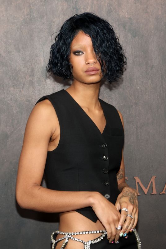 WILLOW SMITH at Emancipation Premiere in Los Angeles 11/30/2022