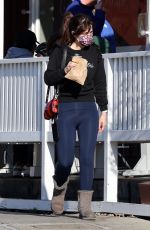 ZOOEY DESCHANEL Out and About in Los Angeles 12/15/2022