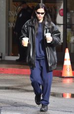 AMELIA HAMLIN Out for Coffee at Starbucks in Beverly Hills 01/05/2023