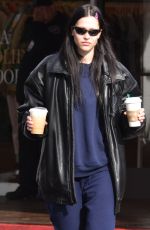AMELIA HAMLIN Out for Coffee at Starbucks in Beverly Hills 01/05/2023