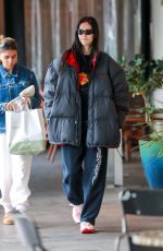 AMELIA HAMLIN Out for Morning Coffee in Bel Air 12/31/2022