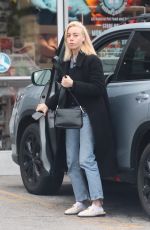 AUBREY PLAZA Arrives at Her Local Groomers in Los Feliz 01/03/2022