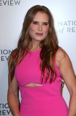 BROOKE SHIELDS at National Board of Review Awards Gala in New York 01/08/2023