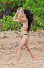 CHASE SUI WONDERS in Bikini at a Beach in Hawaii 01/25/2023