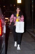 EMILY RATAJKOWSKI Night Out in New York 01/11/2023