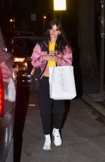 EMILY RATAJKOWSKI Night Out in New York 01/11/2023
