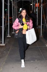 EMILY RATAJKOWSKI Night Out in New York 01/11/2023