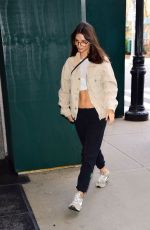 EMILY RATAJKOWSKI Out and About in New York 01/18/2023