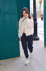 EMILY RATAJKOWSKI Out and About in New York 01/18/2023