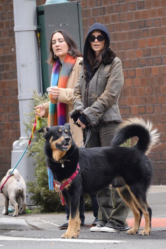 EMILY RATAJKOWSKI Out with Her Dog in New York 01/06/2023