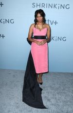 JESSICA WILLIAMS at Shrinking Premiere at Directors Guild of America in Los Angeles 01/26/2023