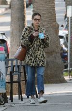 JORDANA BREWSTER Out for Ice Cream in Los Angeles 01/26/2023