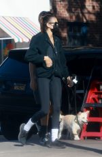 KAIA GERBER and Travis Jakcson Out in Los Feliz 01/28/2023
