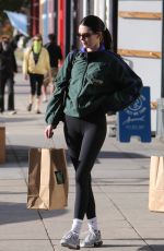 KENDALL JENNER and HAILEY BIEBER Out Shopping in Silver Lake 01/05/2023