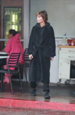 LISA RINNA and Harry Hamlin on a Late Lunch Date in Bel Air 12/31/2022