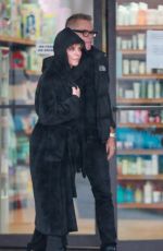LISA RINNA and Harry Hamlin on a Late Lunch Date in Bel Air 12/31/2022