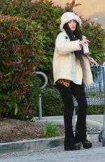 MEGAN FOX Shopping for Groceries in Los Angeles 01/01/2023