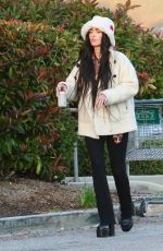 MEGAN FOX Shopping for Groceries in Los Angeles 01/01/2023
