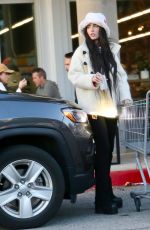MEGAN FOX Shopping for Groceries in Los Angeles 01/01/2023
