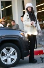 MEGAN FOX Shopping for Groceries in Los Angeles 01/01/2023