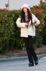 MEGAN FOX Shopping for Groceries in Los Angeles 01/01/2023