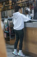 MINKA KELLY Out Shopping at Fabrics for the Home in Los Angeles 01/03/2023
