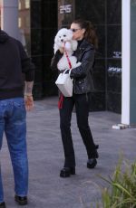 NICOLA PELTZ and Brooklyn Beckham Out for Lunch with Their Dog at Sweetgreen Health Food Restaurant in Beverly Hills 01/24/2023