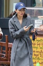 RACHEL ZEGLER Out and About in New York 01/05/2023