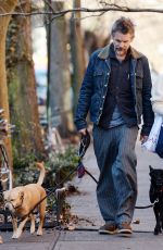 RYAN SHAWHUGHES and Ethan Hawke Out with Their Dogs in New York 01/04/2023
