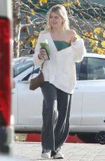 SAMI and LOLA SHEEN on a Double Lunch Date at Howdy