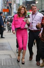SHANIA TWAIN Out with Her Dog in New York 01/05/2023