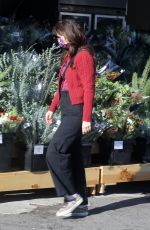 ZOOEY DESCHANEL at Whole Foods Market in Los Angeles 01/13/2023