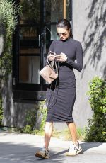 ALESSANDRA AMBROSIO Leaves a Hair Salon in Los Angeles 02/13/2023