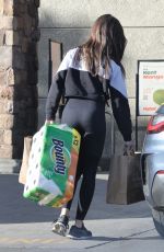 ALISON BRIE Shopping at Gelson