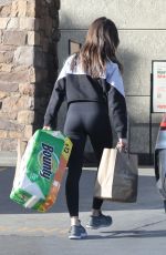 ALISON BRIE Shopping at Gelson