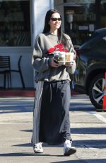 AMELIA HAMLIN Out for Coffee in Los Angeles 01/06/2023