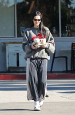 AMELIA HAMLIN Out for Coffee in Los Angeles 01/06/2023