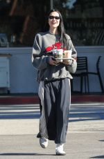 AMELIA HAMLIN Out for Coffee in Los Angeles 01/06/2023