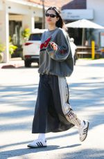AMELIA HAMLIN Out for Coffee in Los Angeles 01/06/2023