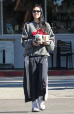 AMELIA HAMLIN Out for Coffee in Los Angeles 01/06/2023
