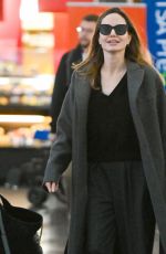 ANEGELINA JOLIE Arrives at JFK Airport in New York 02/20/2023